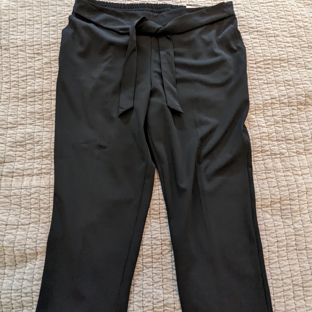 NWT Crop Pants
